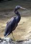 07Moorea - 38